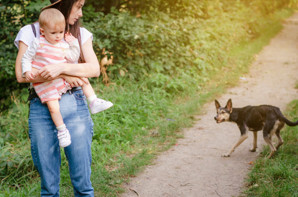 NJ Dog Bites and Your Legal Rights as a Parent
