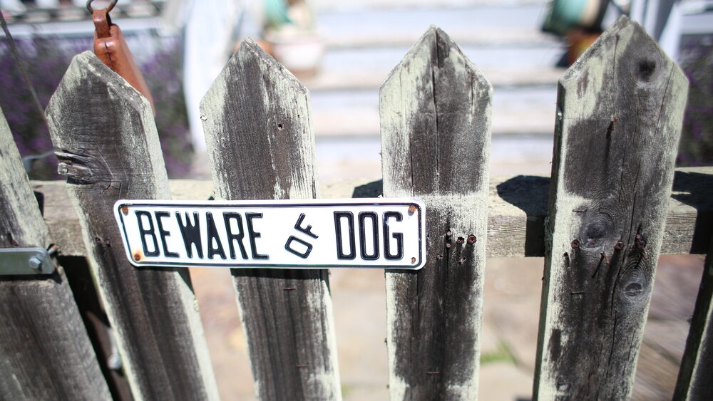 New Jersey Dog Bite Claims: How to Prove Owner Negligence