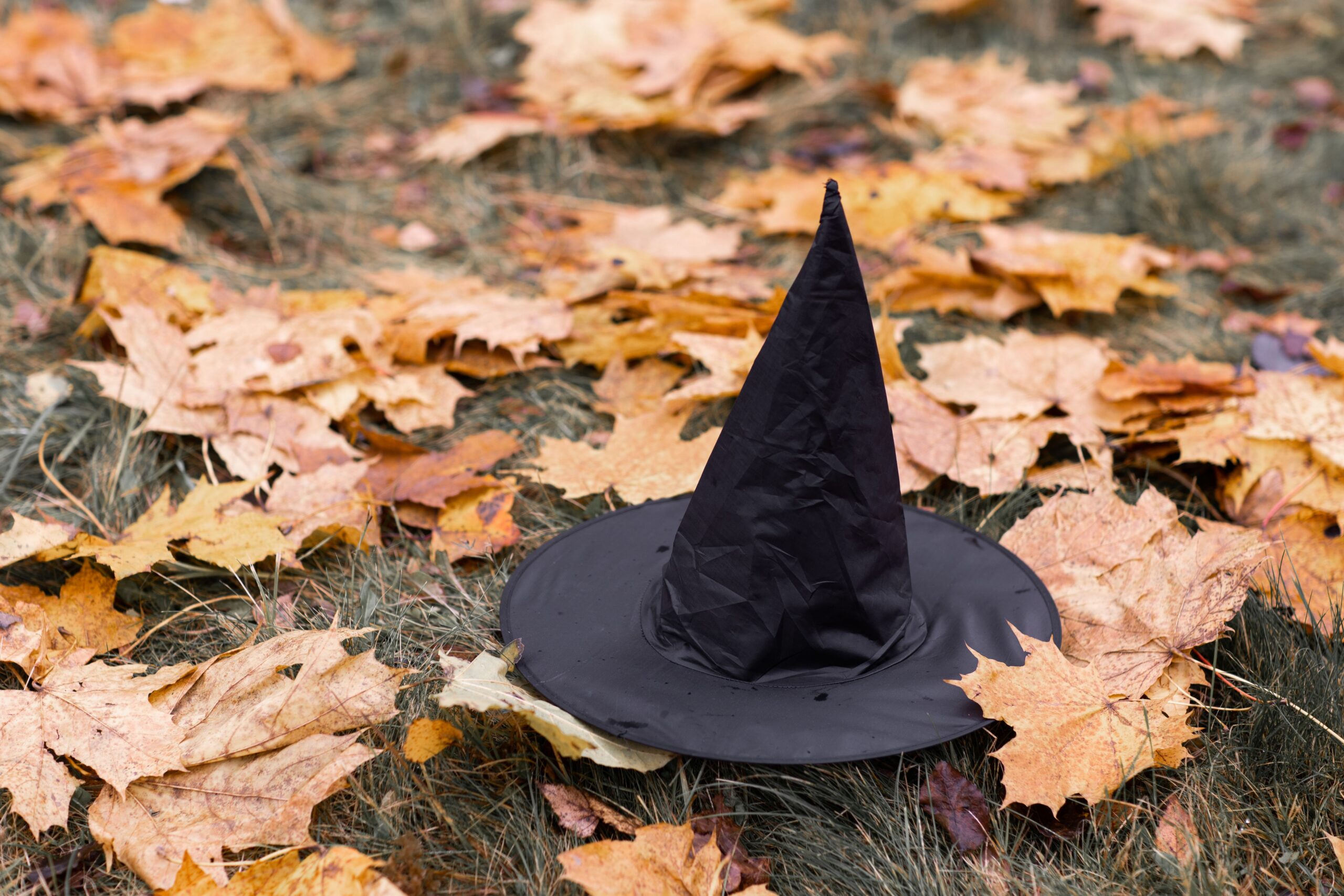 Black witch hat on autumn leaves for Witches Night Out in Red Bank